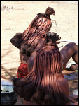 Carefully braided tresses of the Himba women