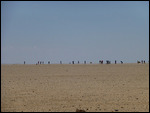 Are these people for real or is it a mirage ?