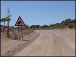 Dont run over elephants!