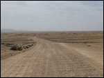4X4 road through the desert