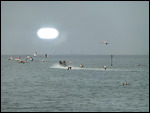 Flying flamingoes