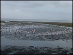 Low tide at Walvis Bay