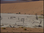 Descending into the floor of Deadvlei