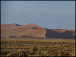 Dune in Namib-Nuakluft National Park