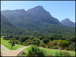 Kirstenbosch Botanical Garden