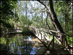 Kirstenbosch Botanical Garden
