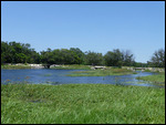 Old Bridge and hippo pool