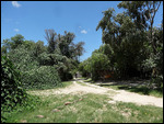 Old Bridge Backpackers