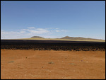 Recently burnt grass
