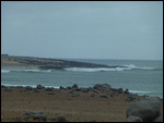 Black dots on the far side are all seals