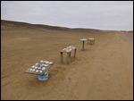 Salt crystals for sale on the honor system