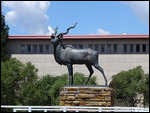 Iconic kudu statue 