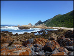 Lichen covered rocks - Kranshoek Coastal Trail