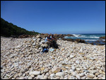Snack break on the beach