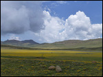 Lesotho panorama