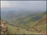 View into South Africa from top of pass