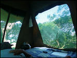 Looking out from inside the Safari Tent
