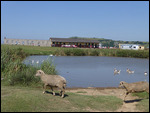 Lake and school enroute from Bulungula to Mthatha