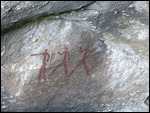 Bushman rock art
