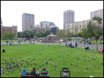 Lawn at Church Square