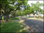 Quiet residential street near our backpacker lodge