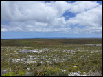 Cape of Good Hope Nature Reserve