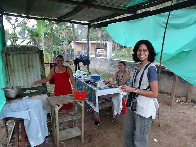 Corn tortillas for a penny