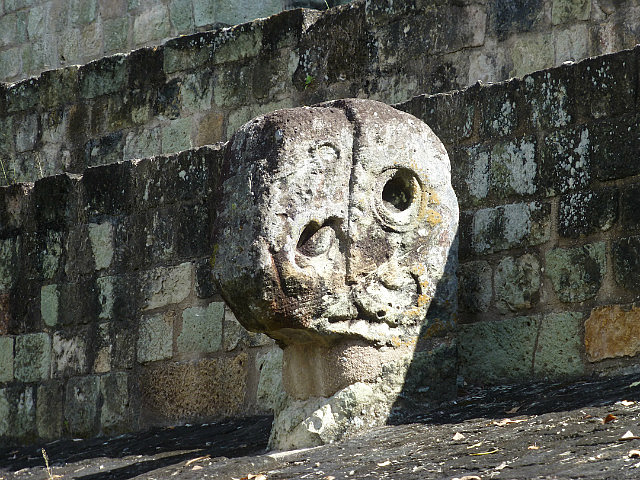 Ball Court - Macaw head