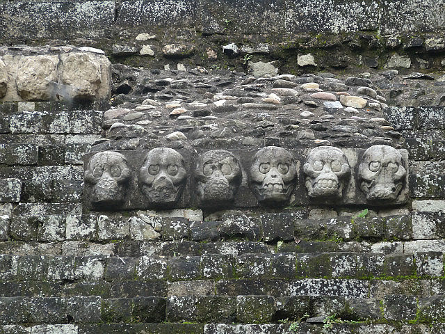 Skeletal Heads
