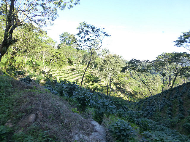Trailside views