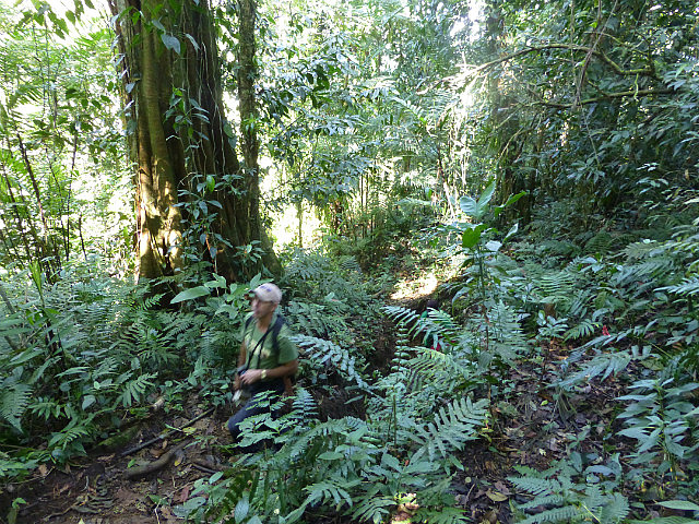 Luis on the trail