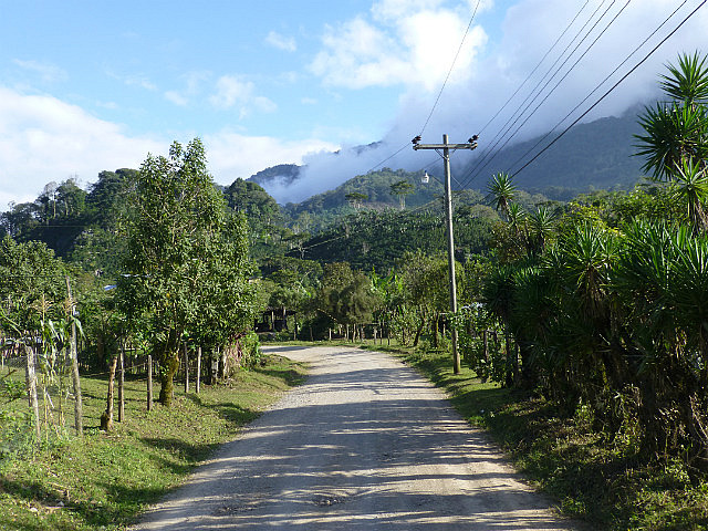 Rural road