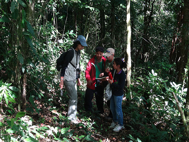 Consulting the field guide