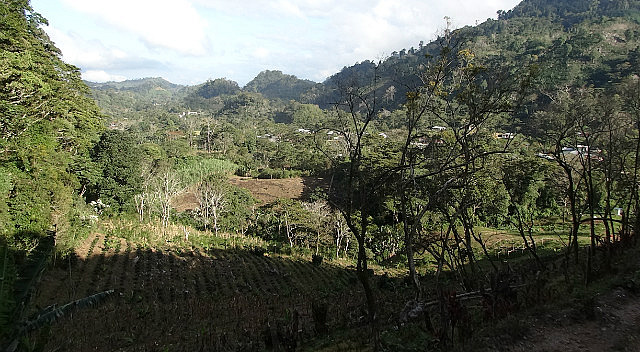 Trailside views