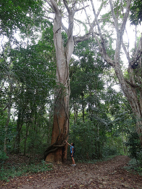 Copan Nature Trail