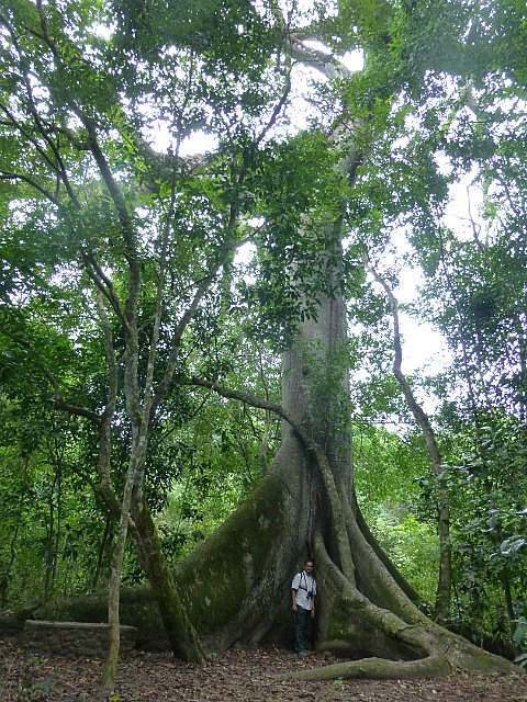 Copan Nature Trail