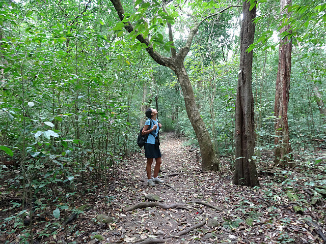 Copan Nature Trail