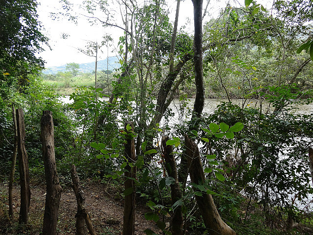 Copan Nature Trail - Rio Copan