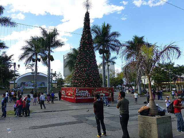 Christmas tree at Parque Central