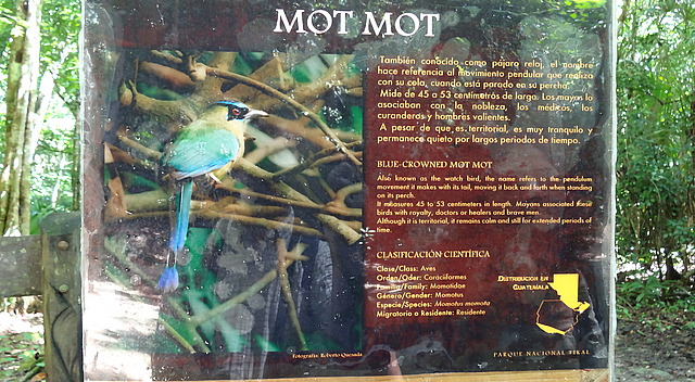 Information sign in the park (Motmot)