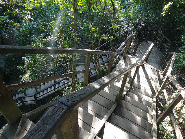 Staircase to Templo IV