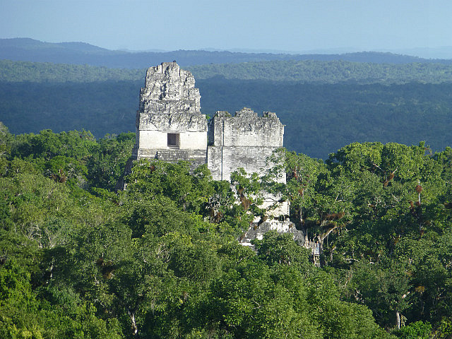 Templos I, II viewed from Templo IV