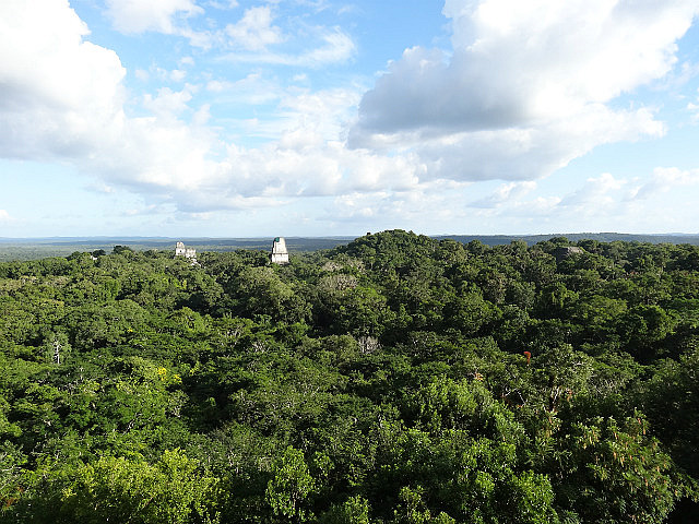 The entire park viewed from Templo IV