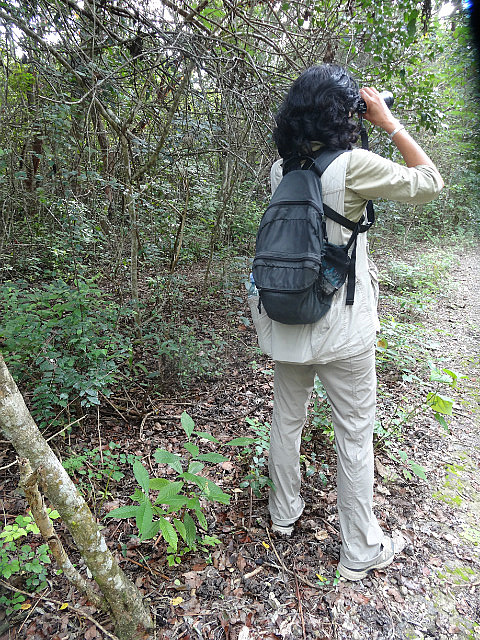 Binoculars, Book, Water, Bag