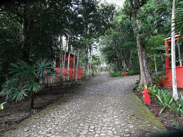 Jungle Lodge, Tikal