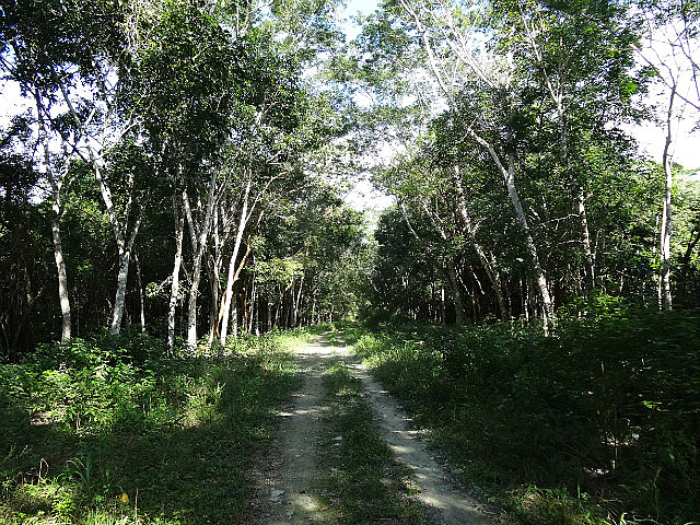 Path leading to reservoir