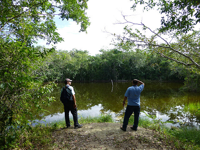 Scanning the pond for birds
