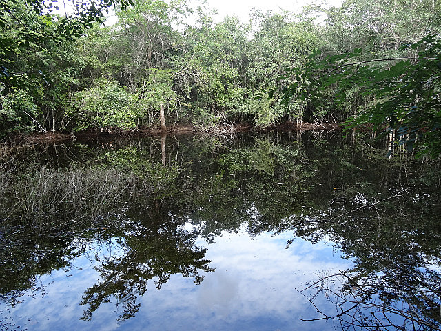 Second pond on the path