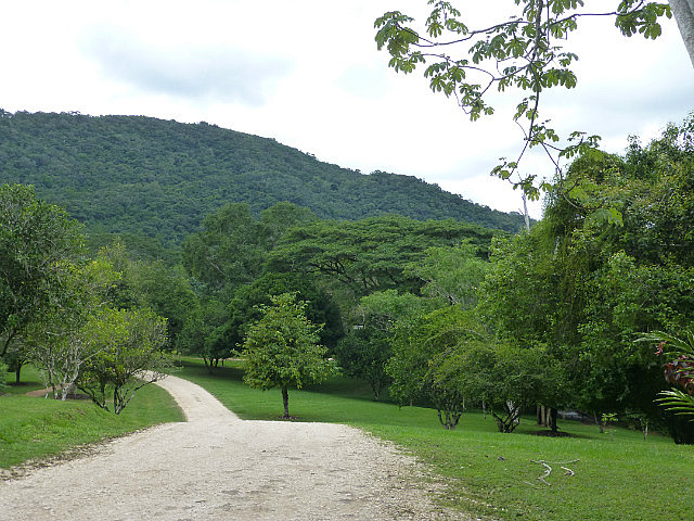 DuPlooy's Botanical Gardens