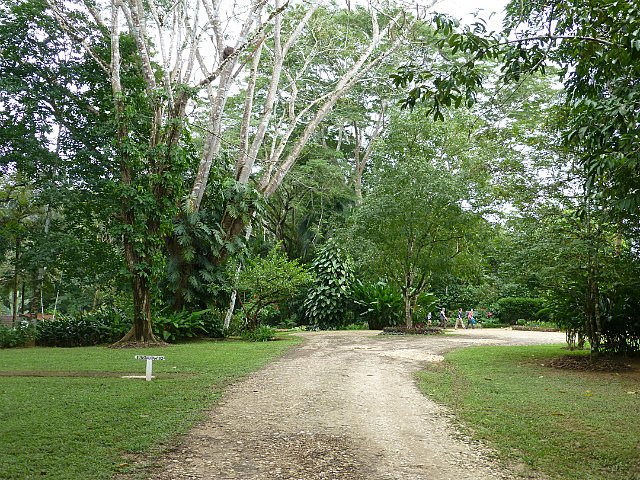 DuPlooy's Botanical Gardens